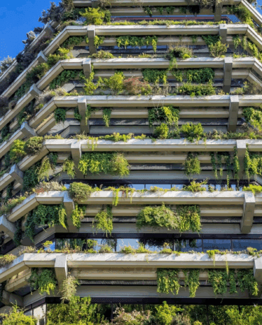 Feature image Biophilic design in commercial architecture